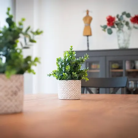 Earra - Eder, 3 Min. Playa Y En Pleno Centro Zarautz